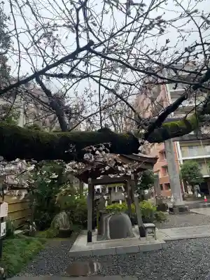猿江神社の{uncategorized: "未分類", other: "その他", undefined: "問題あり", building: "その他建物", grave: "お墓", sacred_gate: "鳥居", guardian: "狛犬", statue: "像", buddha: "仏像", history: "歴史", nature: "自然", garden: "庭園", animal: "動物", pagoda: "塔", temizu: "手水舎", mountain_gate: "山門・神門", sanctuary: "本殿・本堂", subordinate: "末社・摂社", art: "芸術", scenery: "景色", jizo: "地蔵", ema: "絵馬", goshuin: "御朱印", omikuji: "おみくじ", items: "授与品その他", amulet: "お守り", goshuincho: "御朱印帳", eats: "食事", festival: "お祭り", votive_dance: "神楽", shichigosan: "七五三参", wedding: "結婚式", experience: "体験その他", initially: "初詣", around: "周辺", anti_infection: "感染症対策"}