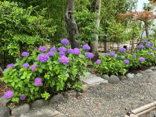 菊田神社(千葉県)