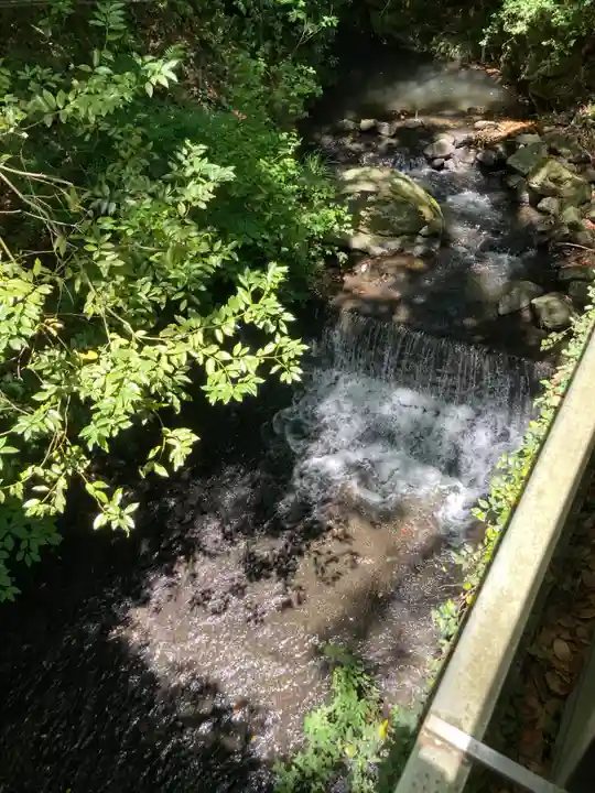 來宮神社(静岡県)