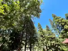 北野神社(長野県)