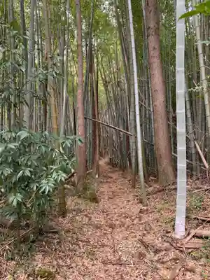若王神社(千葉県)