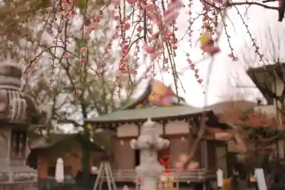 越谷香取神社(埼玉県)