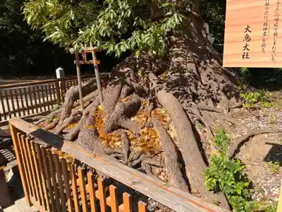 和泉國一之宮　大鳥大社の自然