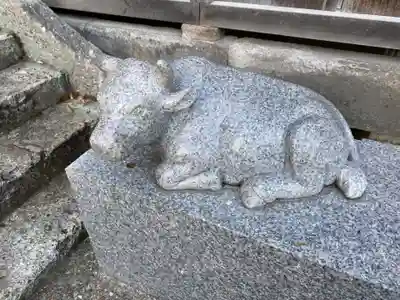 赤羽八幡神社の狛犬