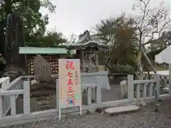 焼津神社の七五三参