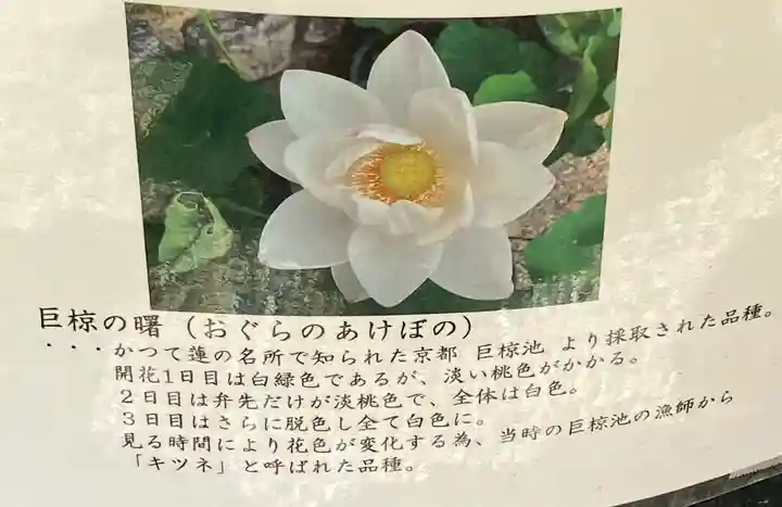 生田神社(兵庫県)