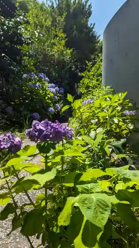 尊陽院(京都府)