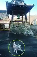 宝林寺(山梨県)