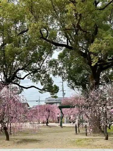 屯倉神社(大阪府)