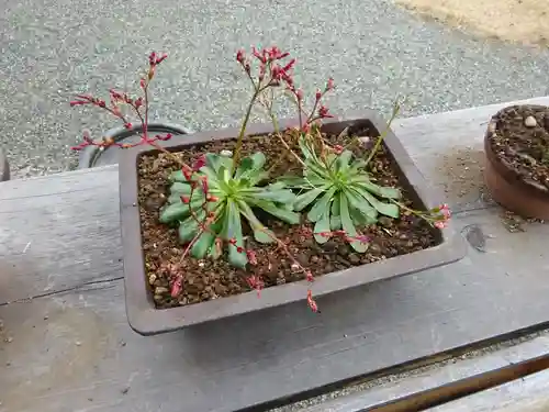 妙蓮寺(神奈川県)