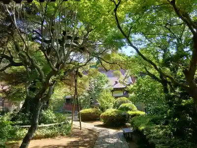 高根寺(千葉県)