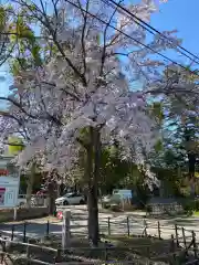 長岡天満宮の自然