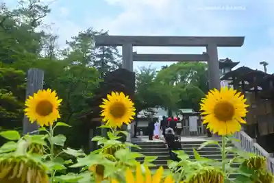 伊勢山皇大神宮(神奈川県)