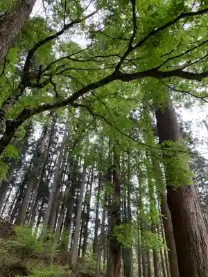 加蘇山神社の自然