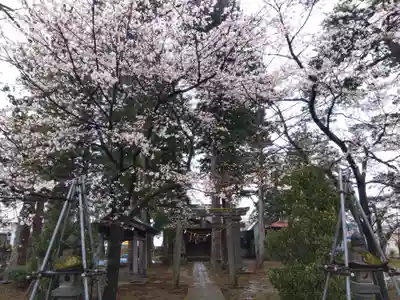 大和神社(新潟県)