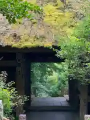 杉本寺の山門