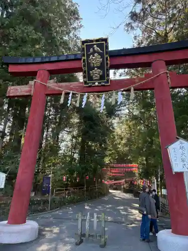 大崎八幡宮の{uncategorized: "未分類", other: "その他", undefined: "問題あり", building: "その他建物", grave: "お墓", sacred_gate: "鳥居", guardian: "狛犬", statue: "像", buddha: "仏像", history: "歴史", nature: "自然", garden: "庭園", animal: "動物", pagoda: "塔", temizu: "手水舎", mountain_gate: "山門・神門", sanctuary: "本殿・本堂", subordinate: "末社・摂社", art: "芸術", scenery: "景色", jizo: "地蔵", ema: "絵馬", goshuin: "御朱印", omikuji: "おみくじ", items: "授与品その他", amulet: "お守り", goshuincho: "御朱印帳", eats: "食事", festival: "お祭り", votive_dance: "神楽", shichigosan: "七五三参", wedding: "結婚式", experience: "体験その他", initially: "初詣", around: "周辺", anti_infection: "感染症対策"}