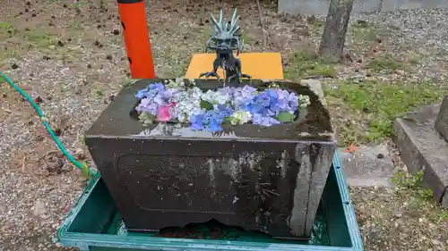 鶴若稲荷神社の手水