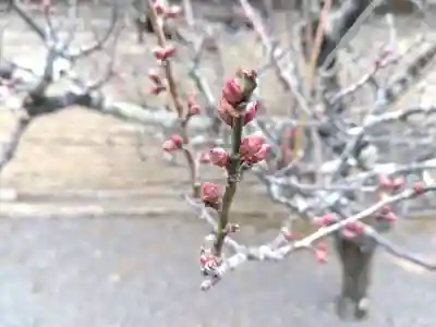 慈済院(京都府)