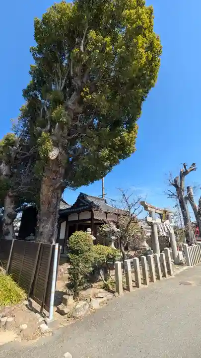 天満宮(淀生津鎮座)(京都府)