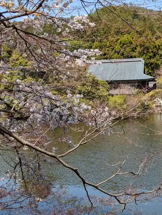 龍安寺(京都府)