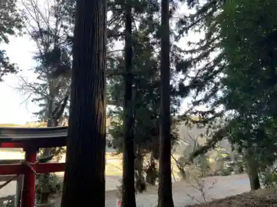 大宮温泉神社(栃木県)