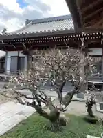 梅香寺(三重県)
