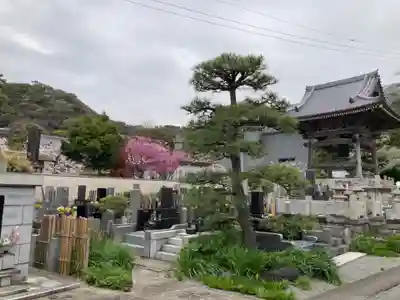 蓮乗院(神奈川県)