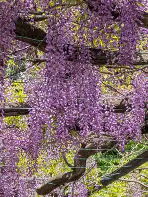 國領神社(東京都)