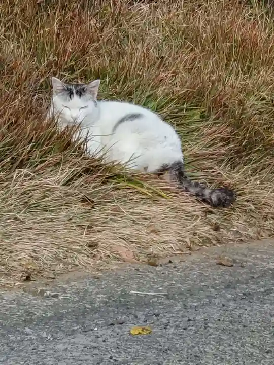 安楽寺(東京都)