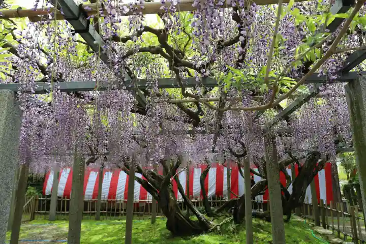 惣社神社(滋賀県)