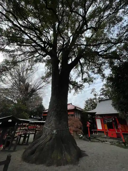 冠稲荷神社(群馬県)