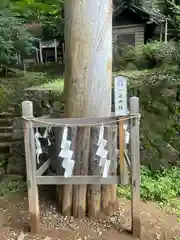 手長神社(長野県)