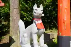 高屋敷稲荷神社の狛犬