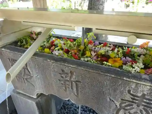鳩森八幡神社の手水舎