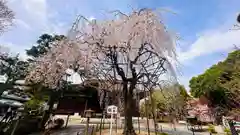 大報恩寺（千本釈迦堂）(京都府)