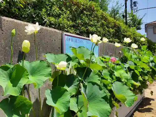 綱敷天満宮の庭園