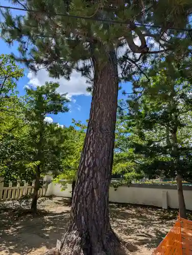 御建神社(広島県)