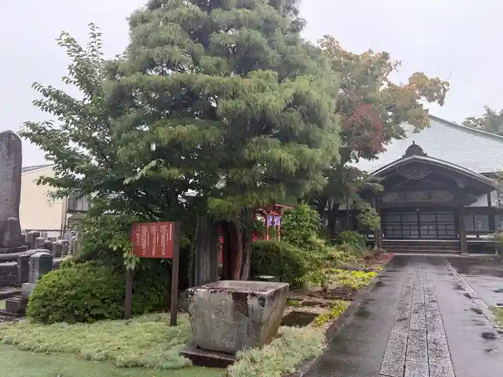 大泉寺(岩手県)