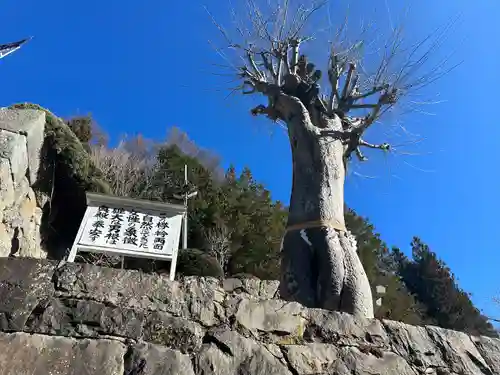 夫婦木神社(山梨県)