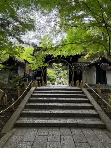 よみうりランド観音の{uncategorized: "未分類", other: "その他", undefined: "問題あり", building: "その他建物", grave: "お墓", sacred_gate: "鳥居", guardian: "狛犬", statue: "像", buddha: "仏像", history: "歴史", nature: "自然", garden: "庭園", animal: "動物", pagoda: "塔", temizu: "手水舎", mountain_gate: "山門・神門", sanctuary: "本殿・本堂", subordinate: "末社・摂社", art: "芸術", scenery: "景色", jizo: "地蔵", ema: "絵馬", goshuin: "御朱印", omikuji: "おみくじ", items: "授与品その他", amulet: "お守り", goshuincho: "御朱印帳", eats: "食事", festival: "お祭り", votive_dance: "神楽", shichigosan: "七五三参", wedding: "結婚式", experience: "体験その他", initially: "初詣", around: "周辺", anti_infection: "感染症対策"}