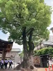 湯島天満宮(東京都)