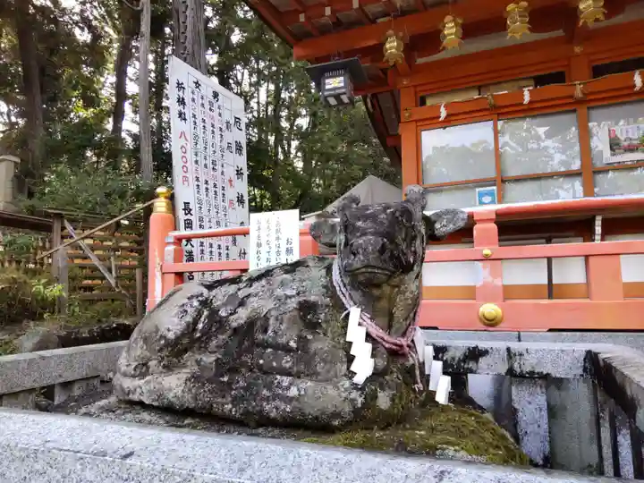 長岡天満宮の狛犬