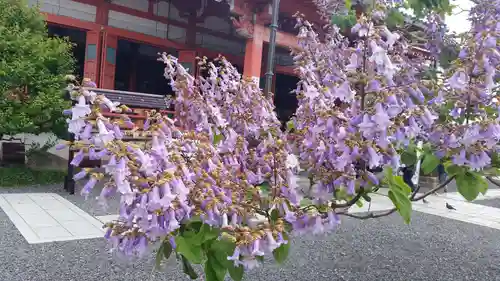 津観音(三重県)