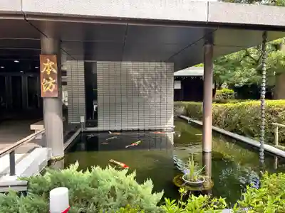 護国寺(東京都)