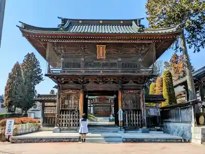 嶺頭院の山門・神門