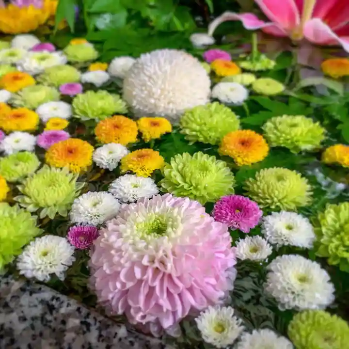 滑川神社 - 仕事と子どもの守り神の手水舎