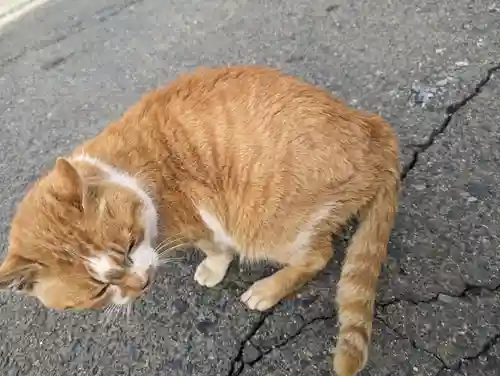 早池峯神社(岩手県)