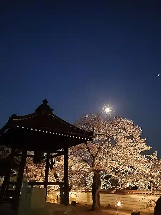 如宝寺(福島県)