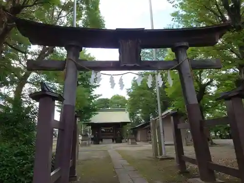 三ツ和氷川神社の鳥居